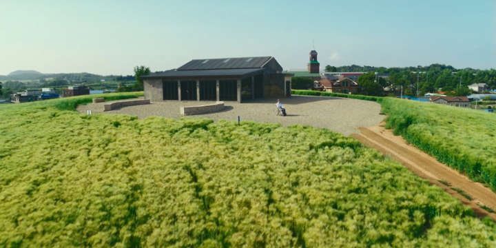 Scene of Boryeong Barley Field from “Death’s Game”
