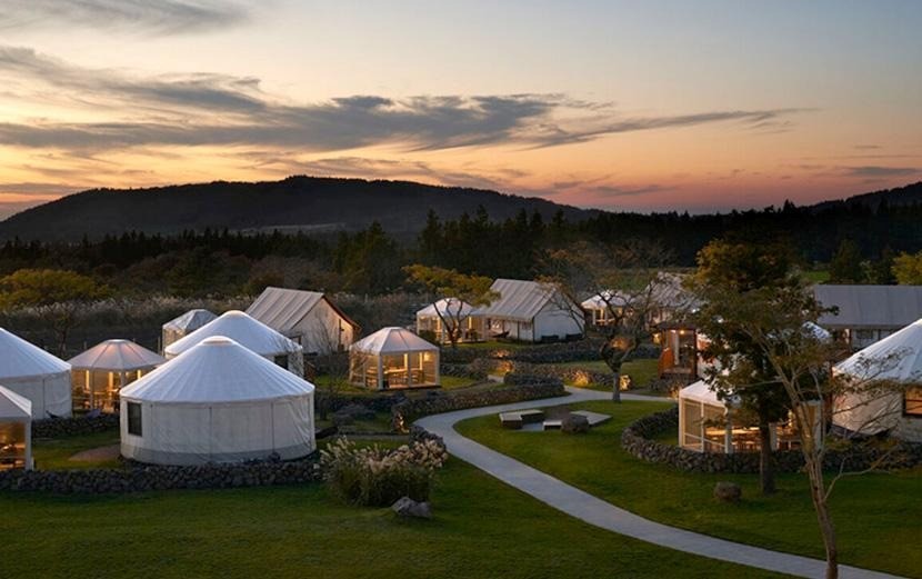 A wide shot of several tents and vacation homes among a grassy, wooded area.
