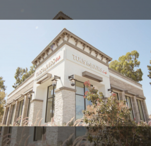 How TOUS les JOURS Found Sweet Success in the U.S.